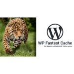 WP Fastest Cache WordPress Plugin 1.7.3